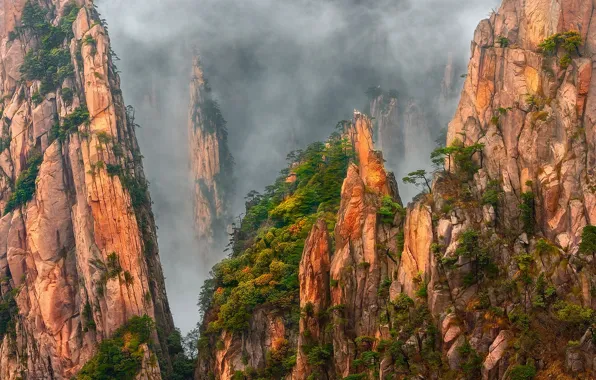 Trees, mountains, fog, rocks, China, haze, pine, granite rocks