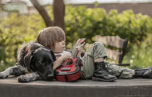 Guitar, dog, boy, shoes, friends
