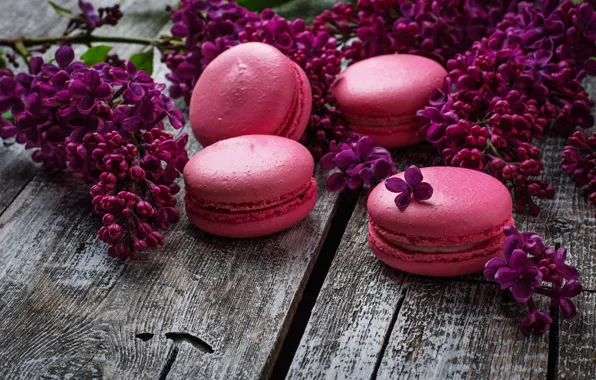 Picture wood, pink, flowers, lilac, macaroons, macaron, lilac, macaroon