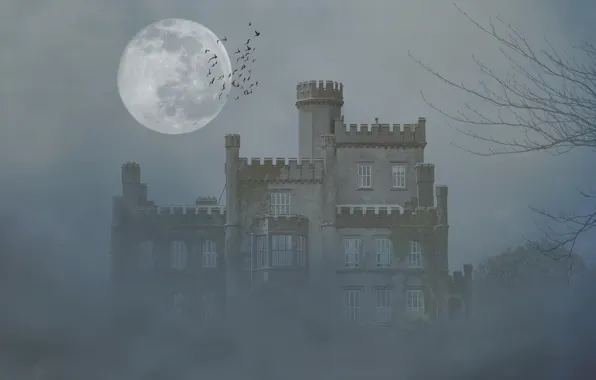 Picture trees, birds, fog, castle, the moon, the darkness