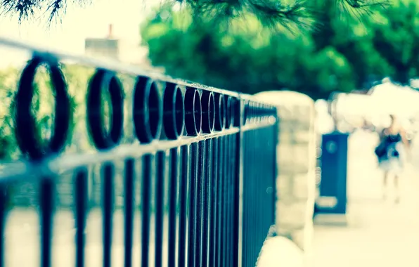 Picture macro, trees, background, widescreen, Wallpaper, the fence, blur, the fence