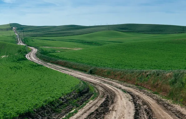 Picture Country Road, Beyond the hills, Rolling Hills