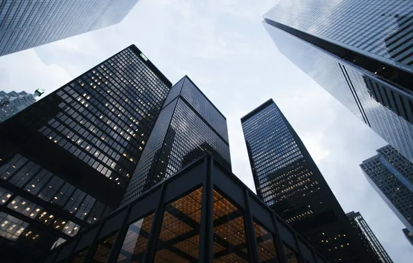 City, day, buildings, Business