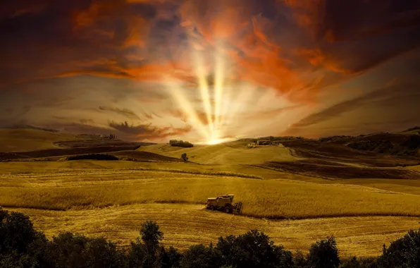 The sun, hills, the slopes, field, Italy, tractor, Tuscany