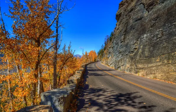 Road, autumn, the sky, trees, mountains