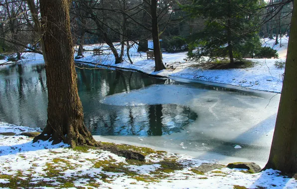 Ice, water, park, winter, pond