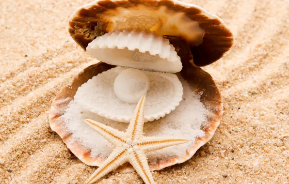 Sand, sea, nature, starfish, pearl, seashells