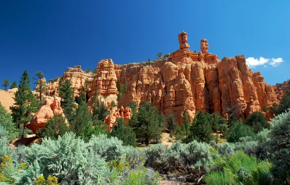 The sky, trees, mountains, slope, Utah, red canyon