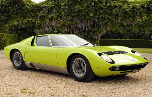 Color, Auto, Lamborghini, Retro, Green, Machine, Eyelashes, Lights