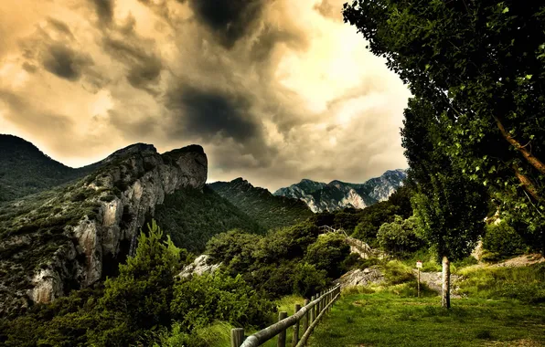 Picture forest, the sky, mountains, view, fence, path, photographer, beautiful