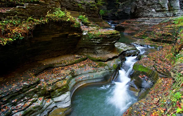 Picture autumn, river, rocks, stream, gorge
