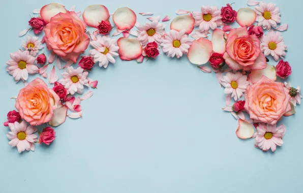 Flowers, roses, chamomile, pink, fresh, wood, pink, flowers