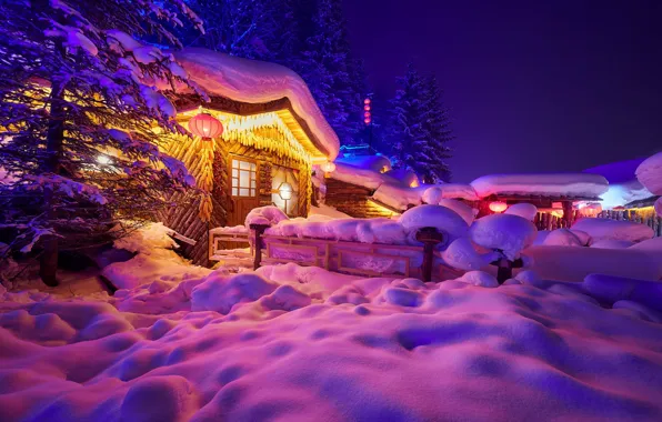 Picture winter, snow, trees, landscape, night, nature, house, ate