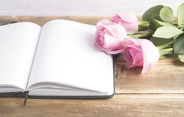 Roses, book, pink, buds, pink, flowers, book, roses