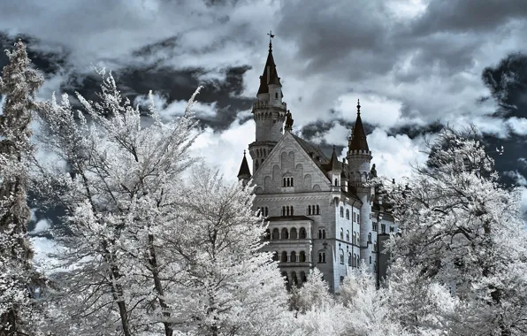 Winter, frost, clouds, snow, trees, branches, castle, view