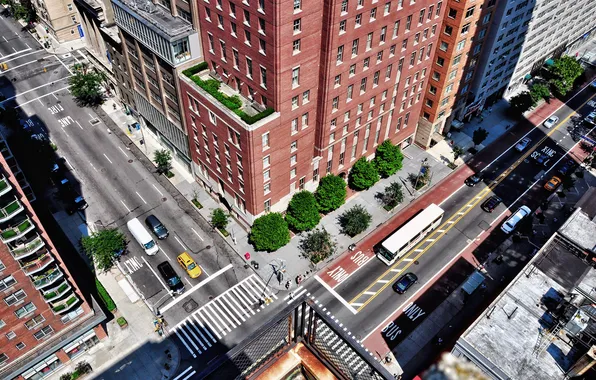 Trees, the city, street, home, crossroads