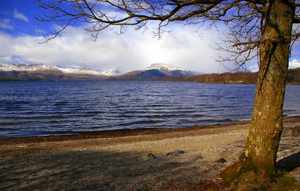 Picture the sky, mountains, lake, tree, Scotland, Loch Lomond