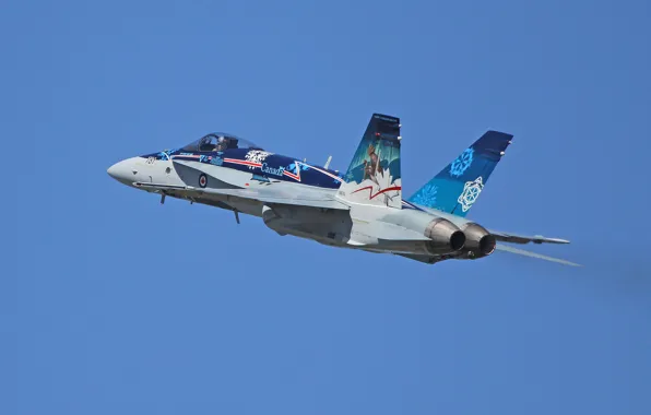 Picture fighter, flight, multipurpose, Hornet, CF-18