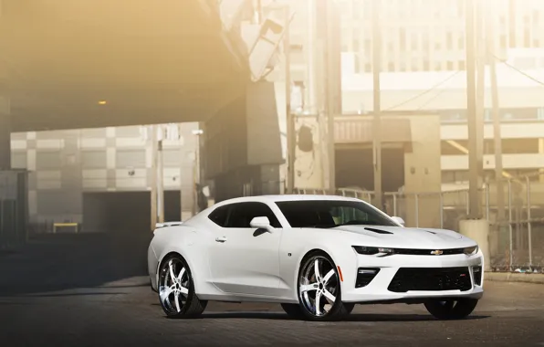 Picture white, camaro, chevrolet, forged, vellano