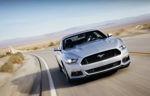 Picture road, Mustang, Ford, Ford, Mustang, the front, Muscle car, Muscle car