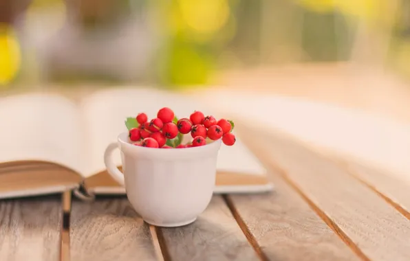 Picture autumn, berries, table, blur, Cup, red, book, Rowan