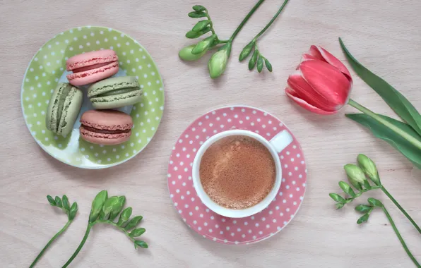 Flowers, Tulip, coffee, cookies, macarons, Anya Ivanova