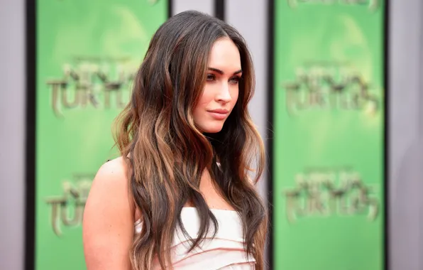 Megan Fox, Megan Fox, dress, actress, brunette, photoshoot, hair