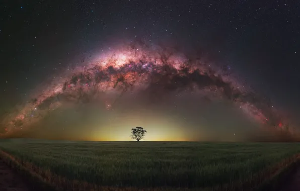 Road, field, the sky, stars, light, landscape, night, nature