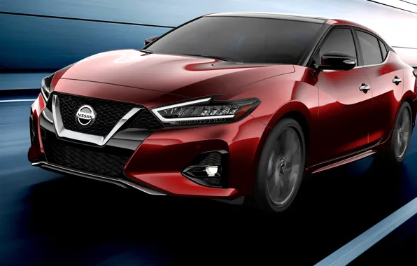 Nissan, Maxima, 2019