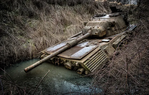 Army, puddle, tank