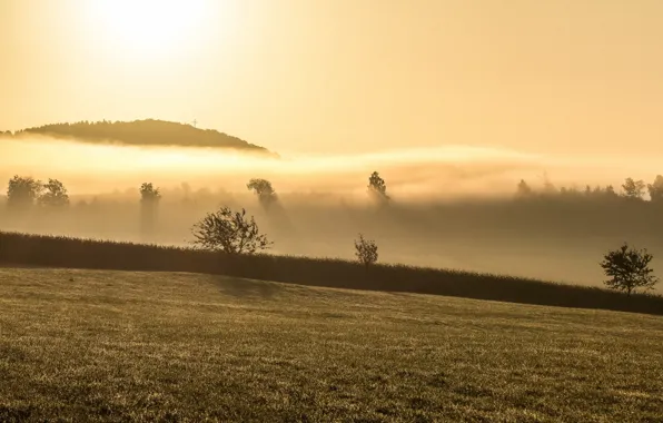 Picture landscape, fog, morning