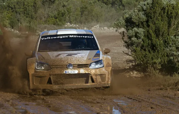 Volkswagen, Machine, puddle, Logo, The hood, Dirt, WRC, Rally