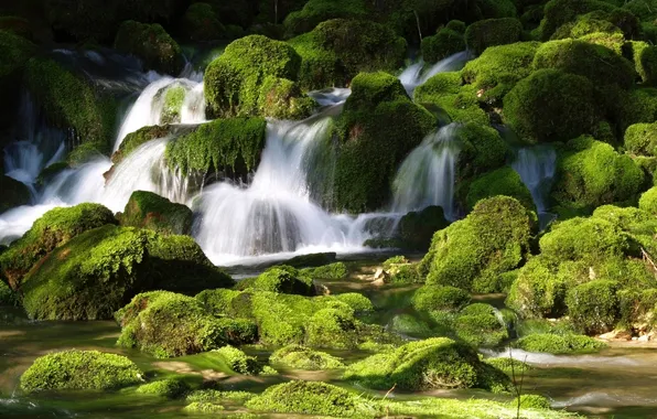 Picture stream, stones, moss, river