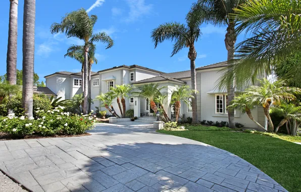 Picture the sky, the sun, flowers, design, palm trees, lawn, Villa, home