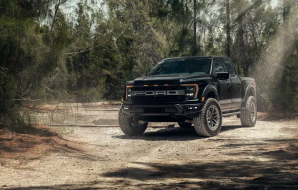 Ford, Black, Road, Pickup, Forest, Trees, Ford F-150