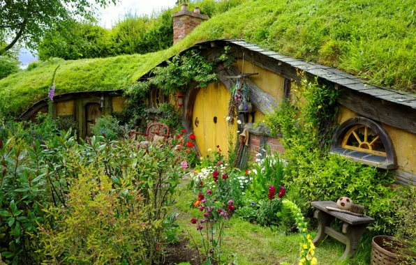 Flowers, Nature, Garden, The door, Shir, Hobbiton, Nora