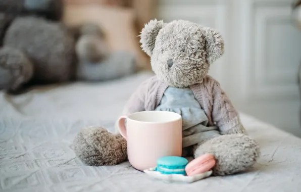Picture comfort, tenderness, toys, macaroni, Teddy bear is, morning in bed
