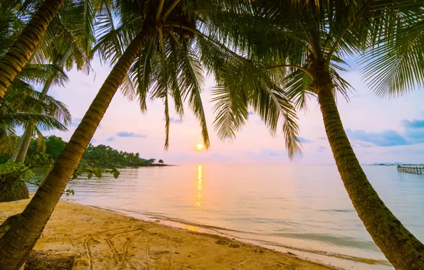 Sand, sea, wave, beach, summer, sunset, palm trees, shore