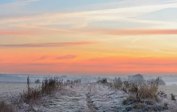 Picture winter, field, sunset