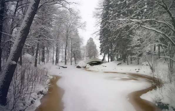 Picture winter, snow, trees, bridge, Park, river