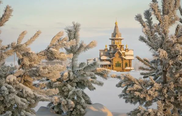 Winter, snow, trees, landscape, nature, ate, Church, Christmas trees