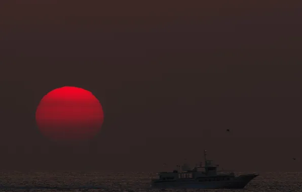 Sea, the sky, the sun, sunset, ship, the evening