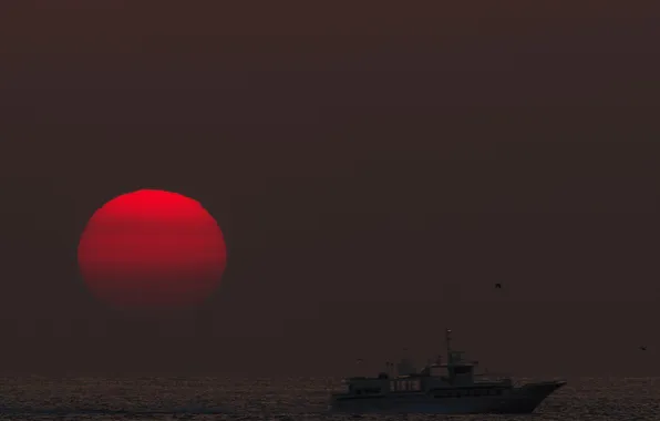 Picture sea, the sky, the sun, sunset, ship, the evening