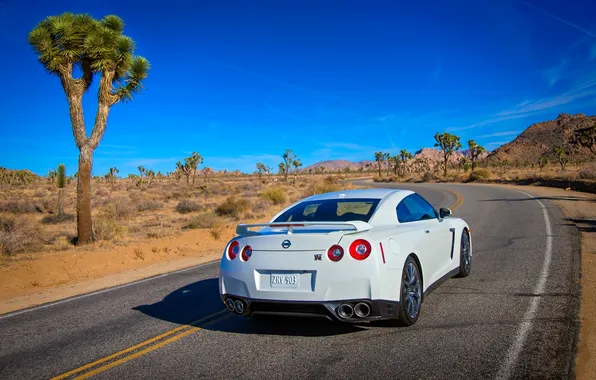 Picture The sky, Road, White, Machine, Nissan, Day, Nissan, GT-R