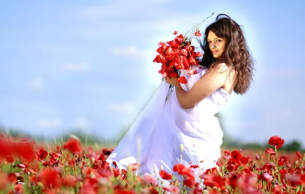 Field, the sky, red, Maki, bouquet, brown hair, sheet