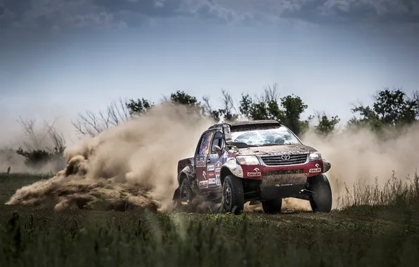 Picture Auto, Grass, Dust, Sport, Machine, Speed, The hood, Skid