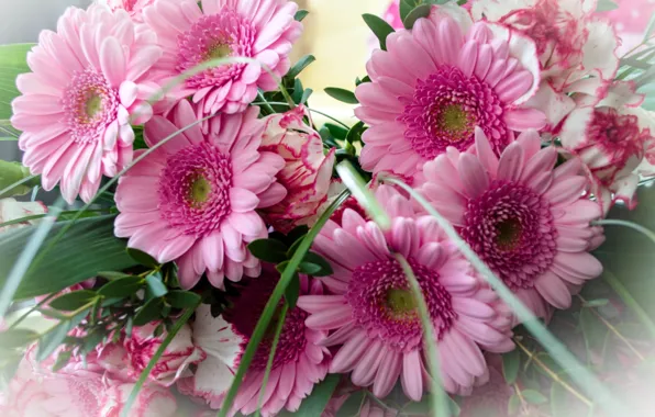 Pink, bouquet, gerbera