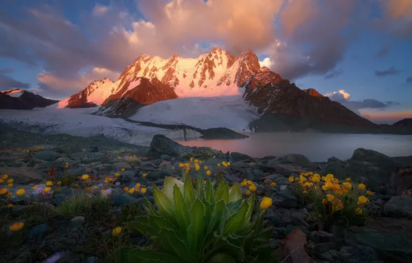 Leaves, snow, flowers, mountains, shore, tops, lighting, pond