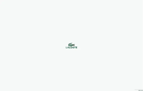 Picture firm, brand, lacoste