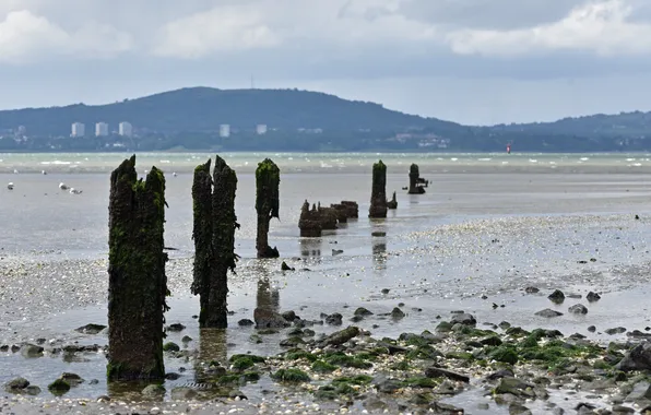 Sea, mountains, pebbles, shore, piles